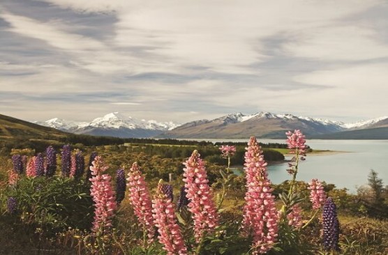 Mount Cook to Christchurch Day Tour - Mount Cook to Christchurch